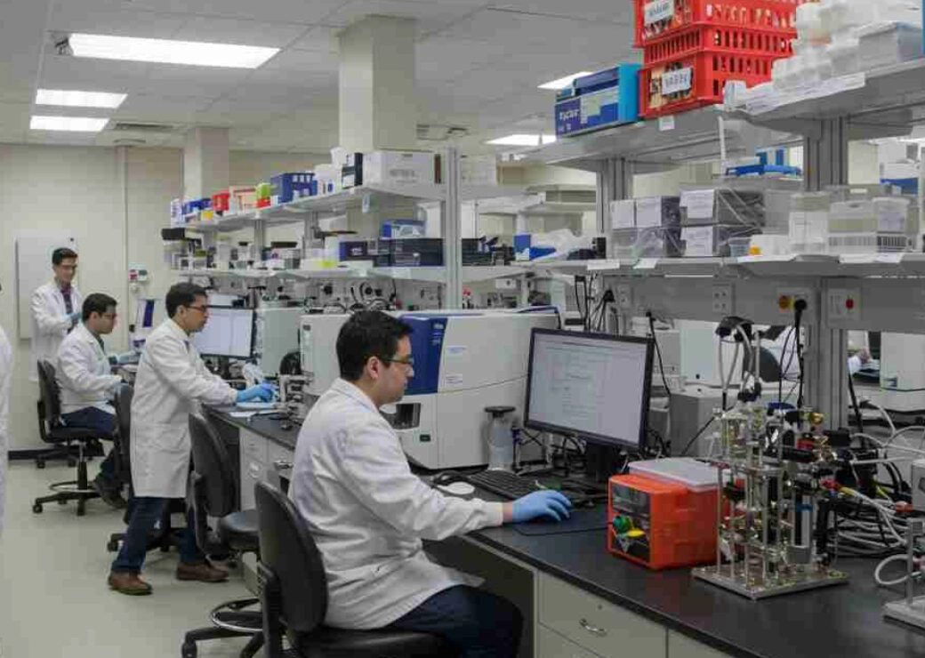 马里兰大学学院园分校