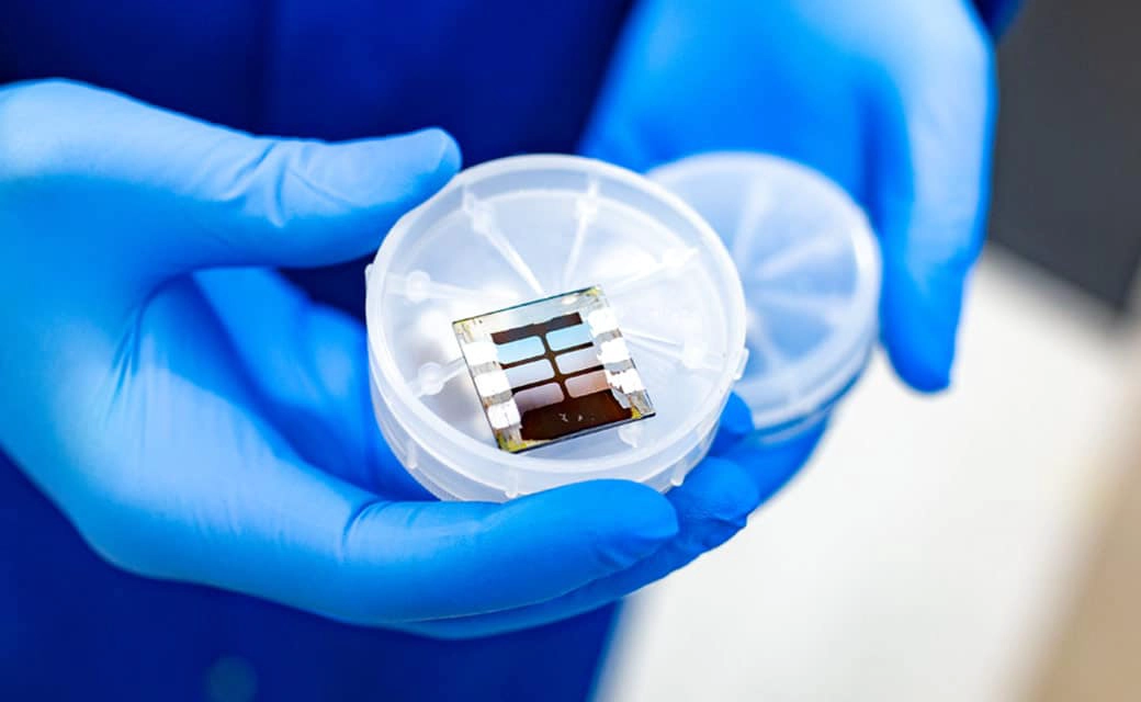 德克萨斯大学达拉斯分校