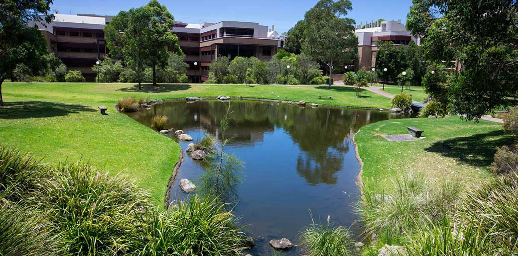 澳洲卧龙岗大学