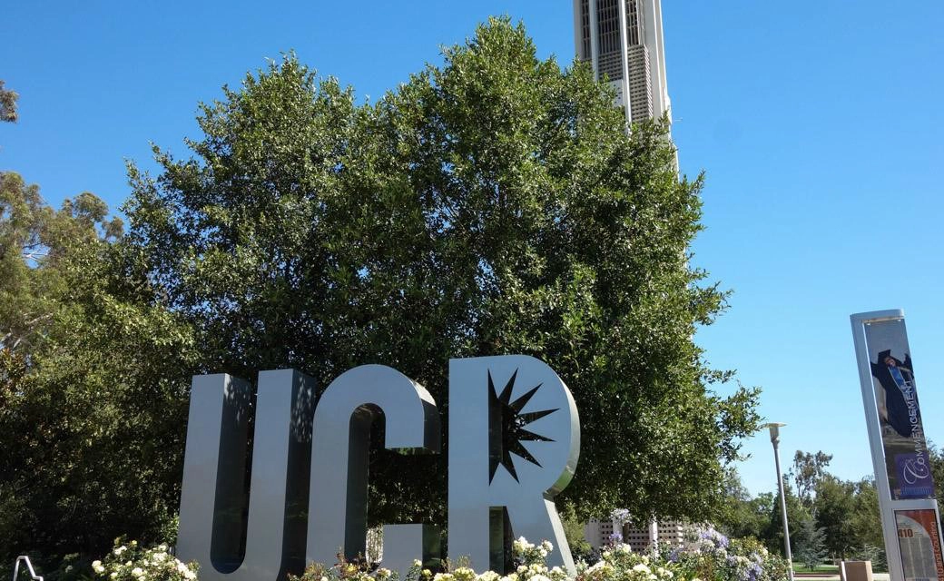 加州州立大学长滩分校