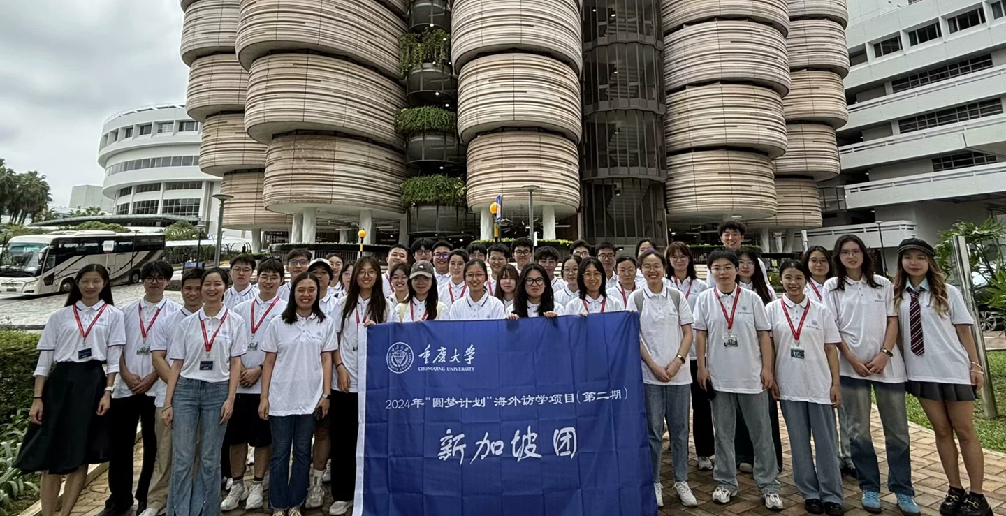 新加坡发展管理学院