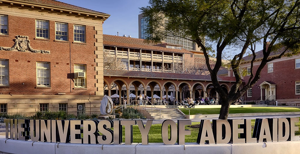 阿德莱德大学