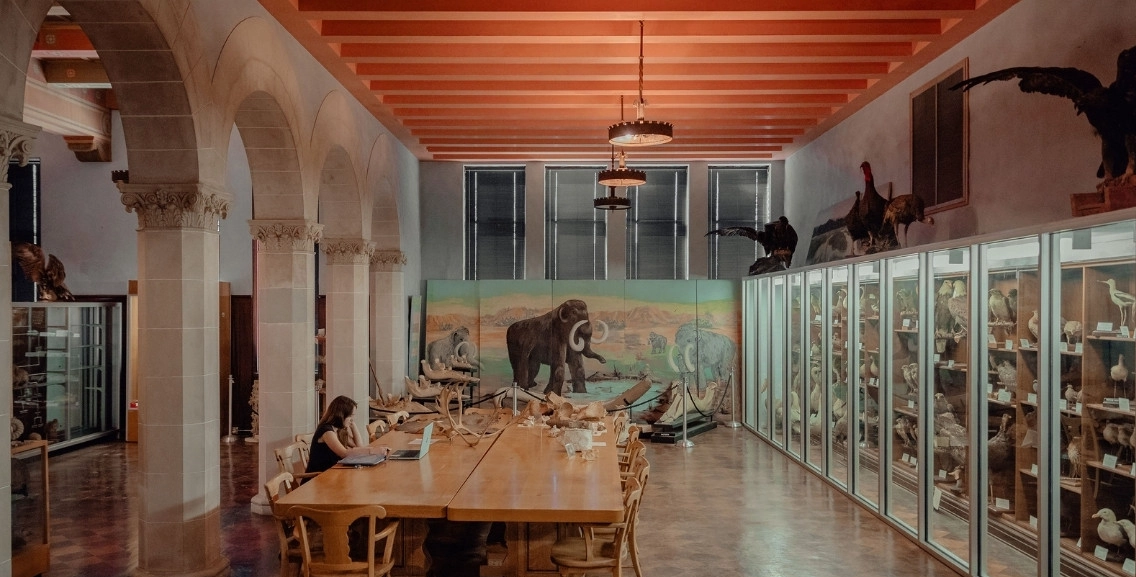 俄克拉荷马州立大学