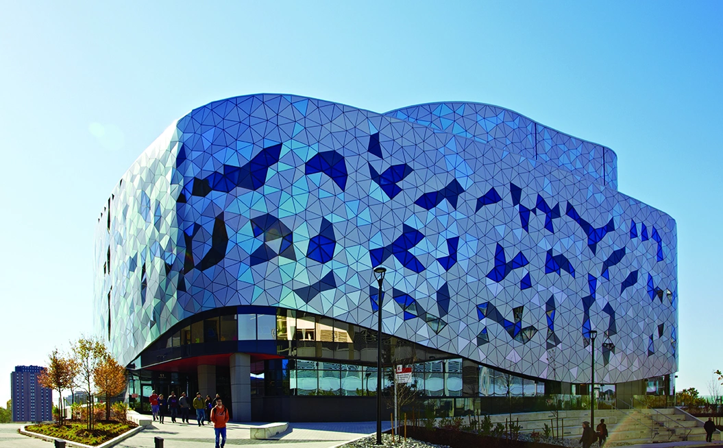 加拿大约克大学