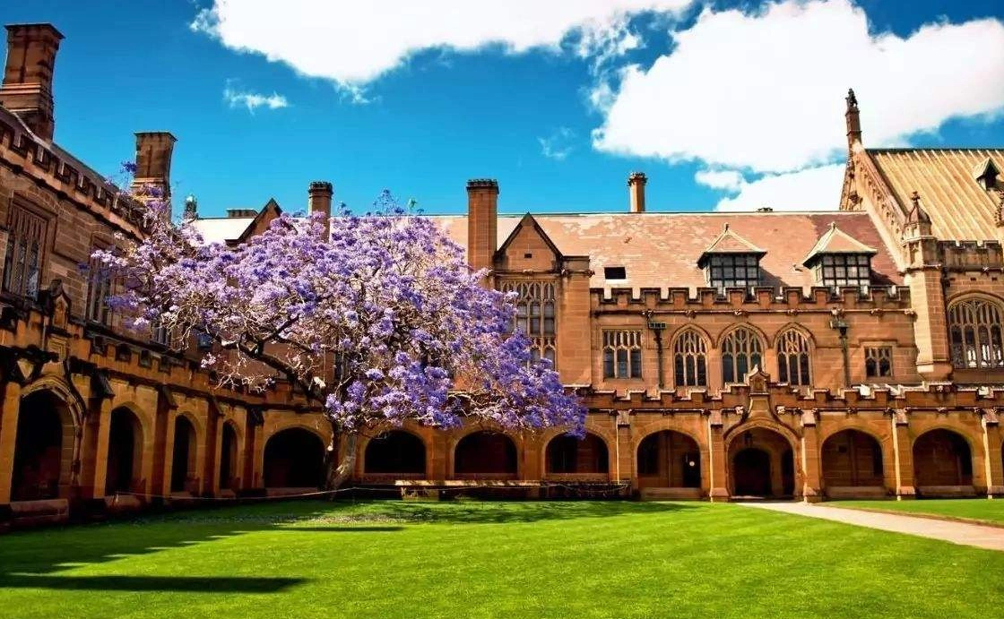 悉尼大学