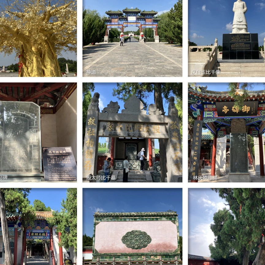 麦克玛斯特大学