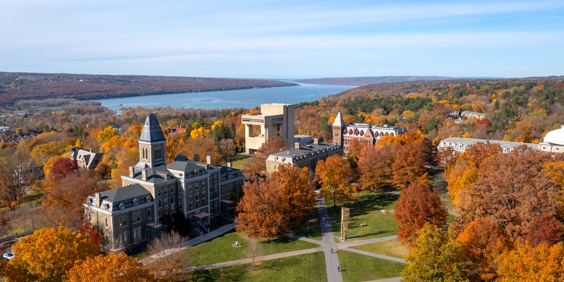 康奈尔大学